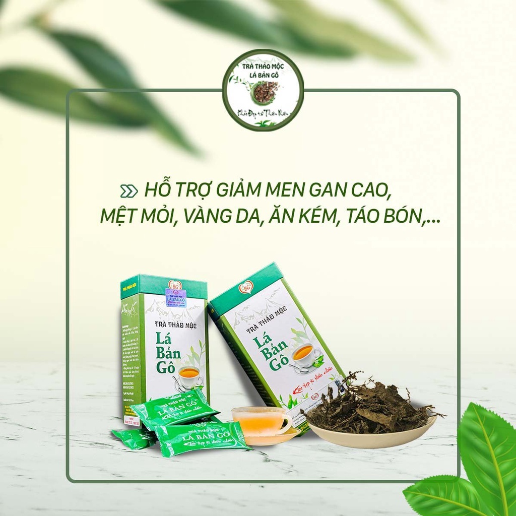 Trà thảo mộc Lá Bản Gô