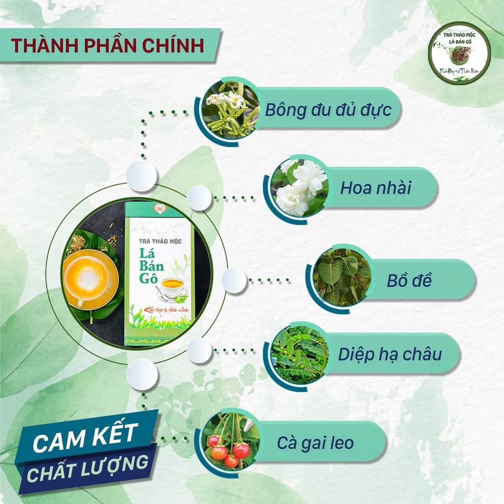 Trà thảo mộc Lá Bản Gô