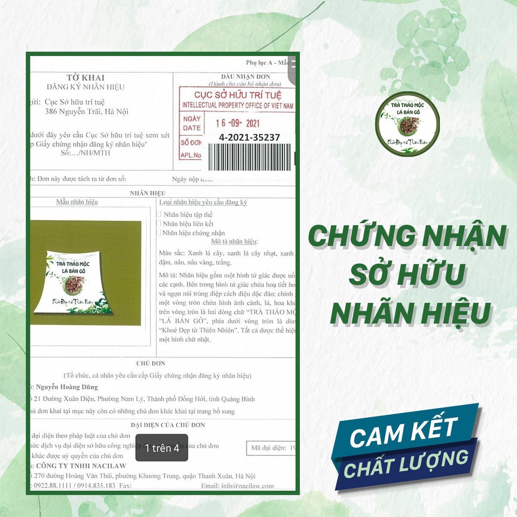 Trà thảo mộc Lá Bản Gô