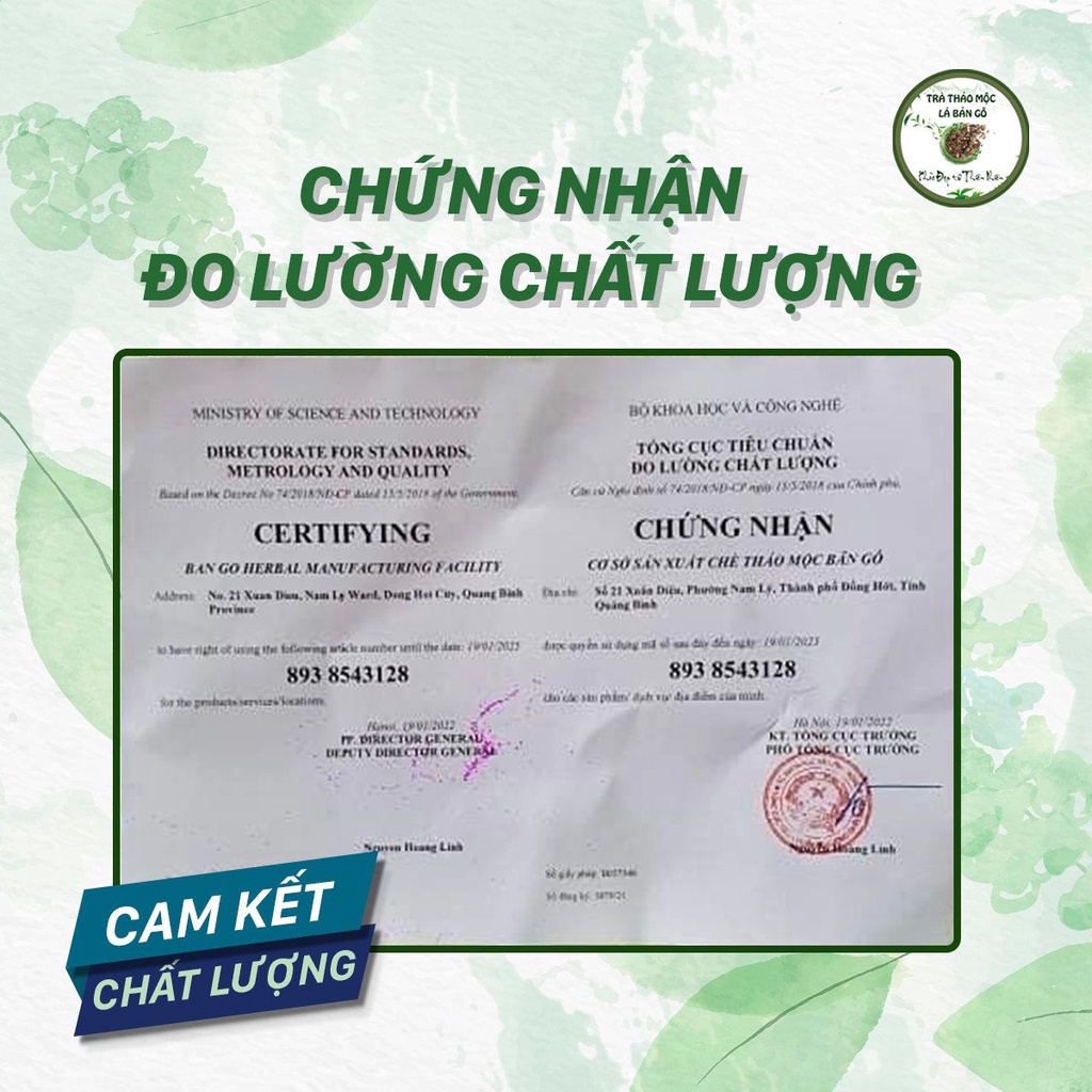 Trà thảo mộc Lá Bản Gô