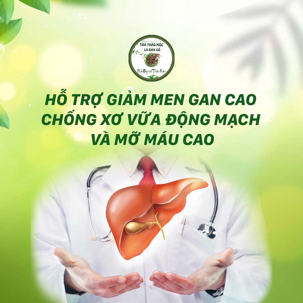 Trà thảo mộc Lá Bản Gô